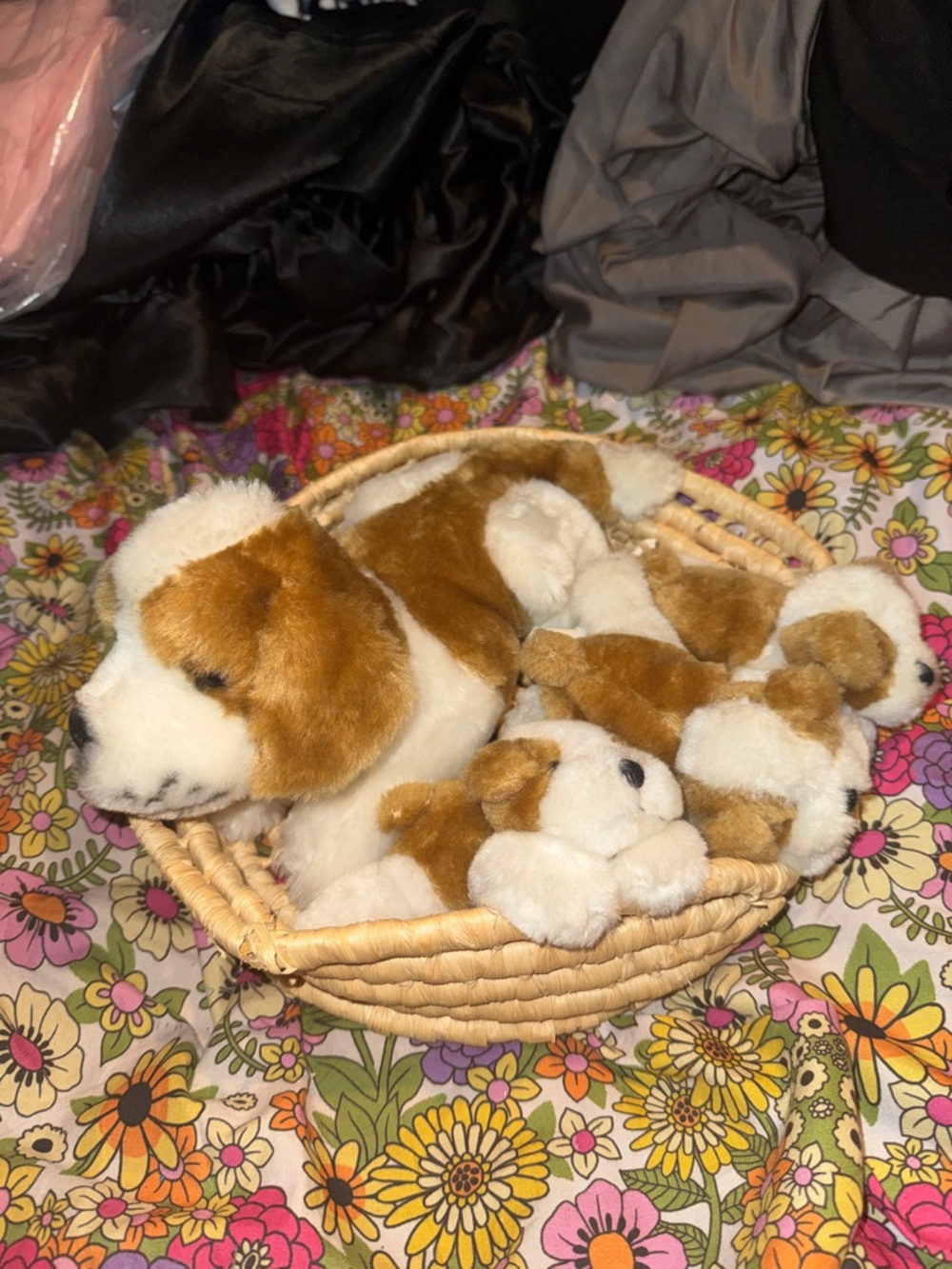 Cute Basket of Mom St Bernard Dog & her 3 Puppies!! Rare Find